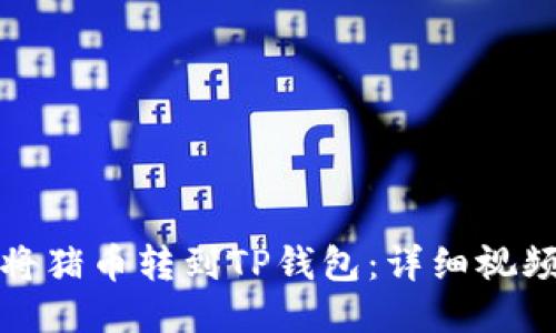 如何将猪币转到TP钱包：详细视频教程