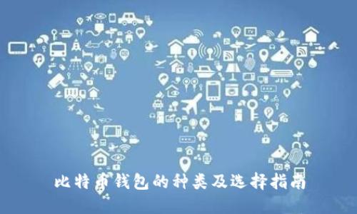 比特币钱包的种类及选择指南