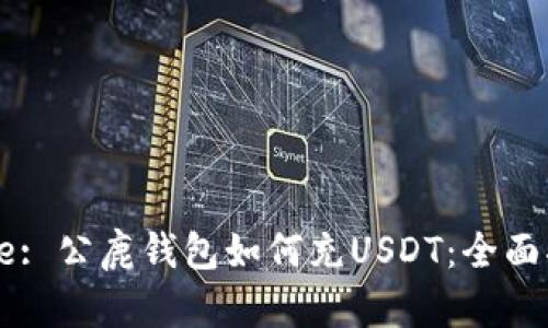 Title: 公鹿钱包如何充USDT：全面指南