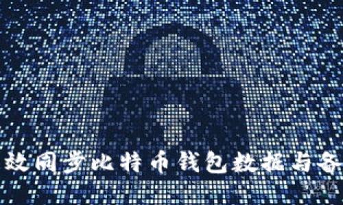 如何高效同步比特币钱包数据与备份指南