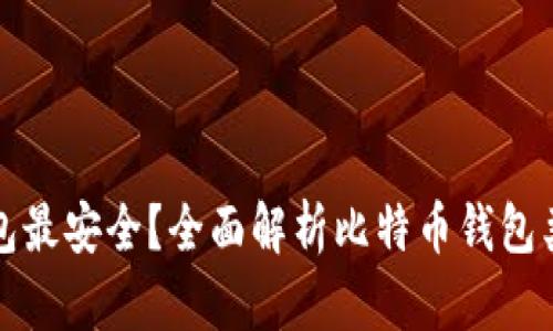 比特币哪种钱包最安全？全面解析比特币钱包类型及其安全性